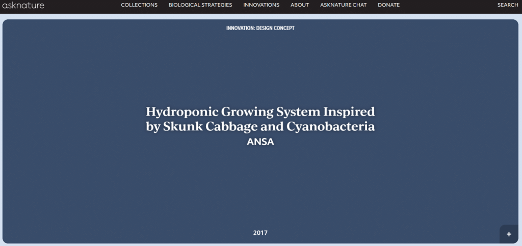 Aquaponic-new-picture-1536x724