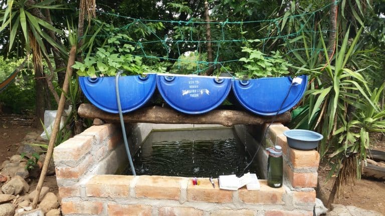 Oasis-Aquaponic-System-768x431
